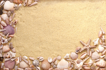 Summer beach background with seashells