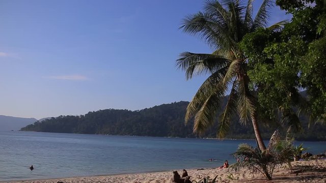 Hammock and palm trees on the beach in koh Lipe Island. Thailand.