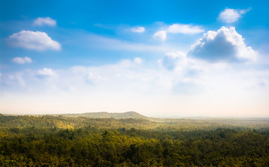 Fototapeta na wymiar Deep Tropical forest with blue sky.