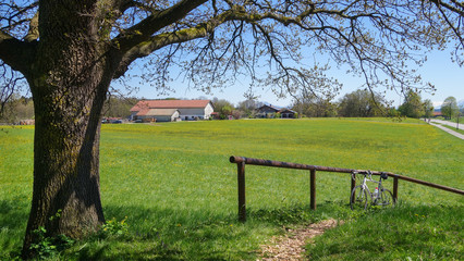 Radweg Waginger See