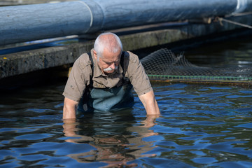 senior man caring his fish stocks in fish farm