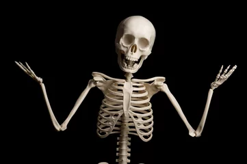 Fotobehang Portrait of surprised skeleton standing over black background. © below