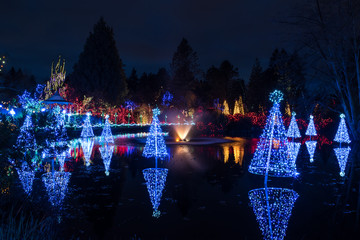 Christimas lights on a lake