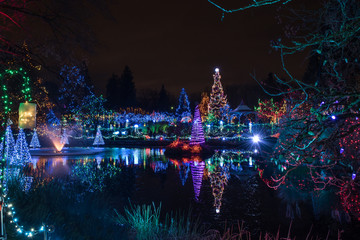 Christimas lights on a lake