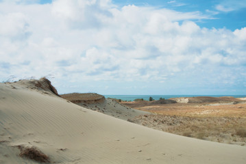 Sand dunes covered with dry grass and blue Baltic sea water at the background national park of Curonian Spit, Lithuania on summer cloudy day.