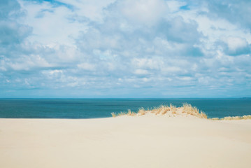 Fototapeta na wymiar Sand dunes covered with dry grass and blue Baltic sea water at the background national park of Curonian Spit, Lithuania on summer cloudy day.