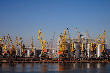 Fototapeta na wymiar Industrial cranes in port on a background of blue sky