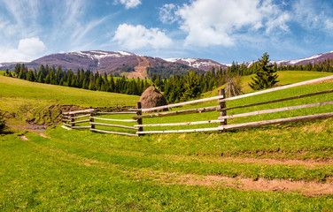 Fototapeta na wymiar wooden fence along the dirt road on grassy hills of Carpathian alps. gorgeous springtime countryside with spruce forest and mountain ridge with snowy tops in the distance. 