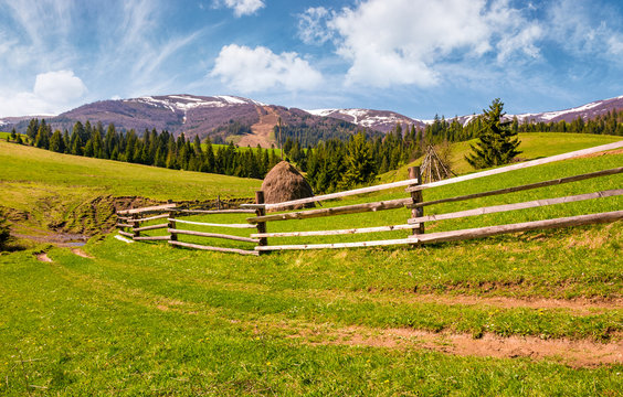 wooden fence along the dirt road on grassy hills of Carpathian alps. gorgeous springtime countryside with spruce forest and mountain ridge with snowy tops in the distance. 