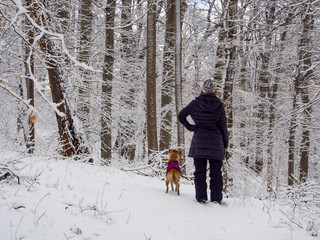 Fototapeta na wymiar Girl and Dog Standing in Winter Forest