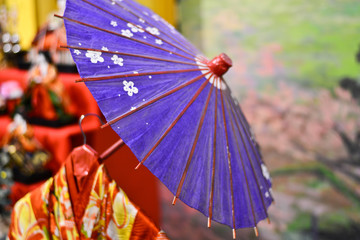 elegant umbrellas for geishas