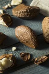 Raw Brown Organic Shelled Brazil Nuts