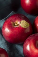 Red Organic Macintosh Apples