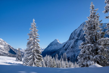 Alpine Winterlandschaft