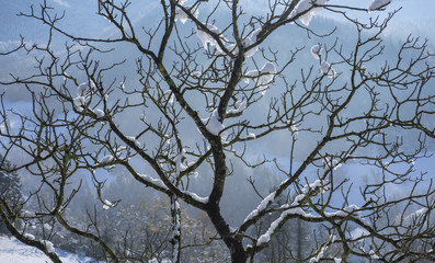 Autumn and snowfall in the town of Zegama, Basque Country, Spain
