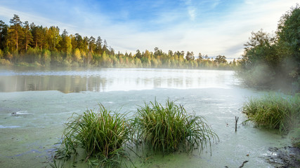 туманное утро на Уральской реке с лесом на берегу, Россия  © 7ynp100