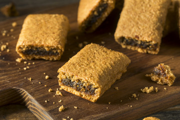 Healthy Homemade Fig Fruit Bars