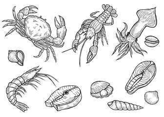 Marine Healthy seafood