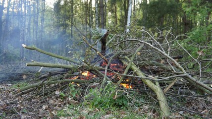 Naklejka premium Fire and Camping