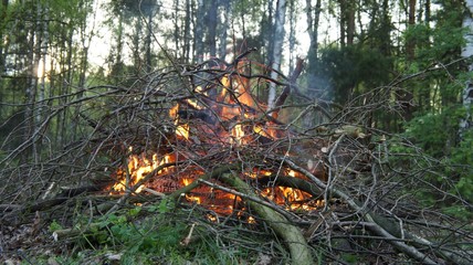 Fire and Camping