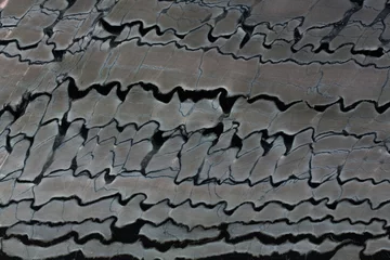 Zelfklevend Fotobehang Close up of lined quartzite stone background. © Dmytro Synelnychenko