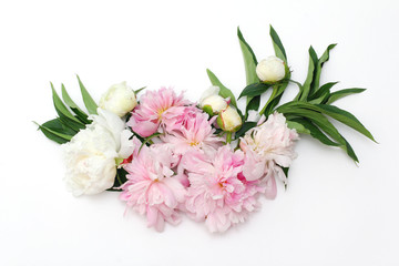 Beautiful comomposition of peonies and leaves on a white background. Top view, flat lay