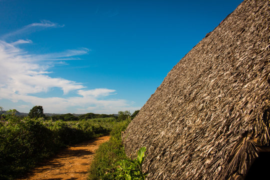 Tabakfarm