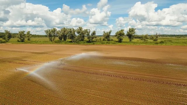 Aerial view: Crop Irrigation using the center pivot sprinkler system. An irrigation pivot watering salad, lettuce field. Irrigation system watering farm field, 4K, aerial footage.