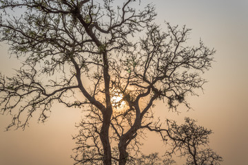 Puesta de sol, atardecer