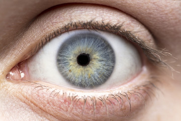 Macro photo of human eye, iris, pupil, eye lashes, eye lids.