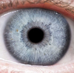 Macro photo of human eye, iris, pupil, eye lashes, eye lids.