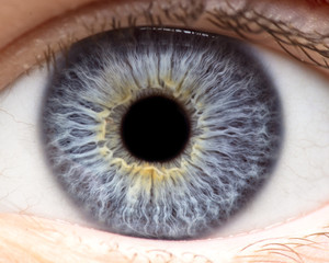Macro photo of human eye, iris, pupil, eye lashes, eye lids. - obrazy, fototapety, plakaty