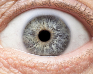 Macro photo of human eye, iris, pupil, eye lashes, eye lids.