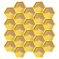 Vector illustration of Honeycomb