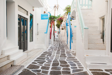 The narrow streets of greek island with cat. Beautiful architecture building exterior with cycladic style.