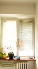 White wooden window