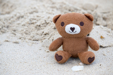 Bear is at the beach