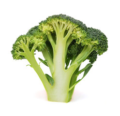 Broccoli on white background.