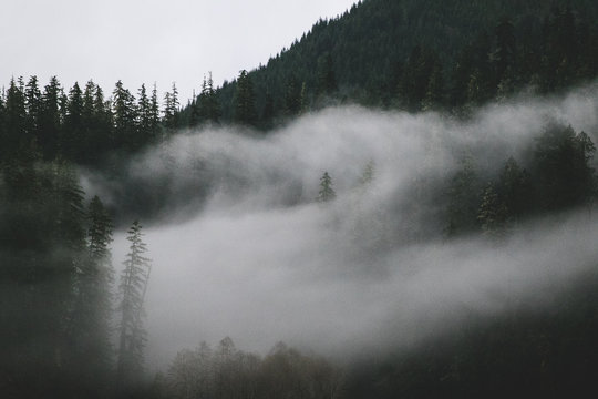 Ethereal fog