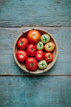 Organic tomatoes in the process of ripening