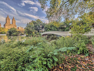 Fototapeta na wymiar Bow bridge Central Park in summer