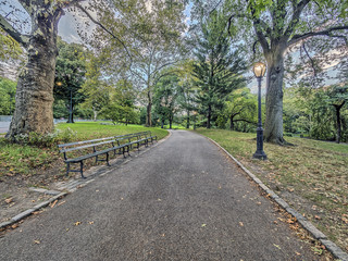 Fototapeta na wymiar Central Park, New York City spring