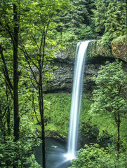  Oregon’s Cascade Mountains, Silver Falls State Park