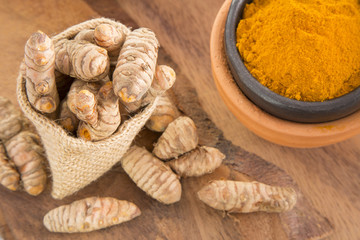 Fresh roots of turmeric - Curcuma longa