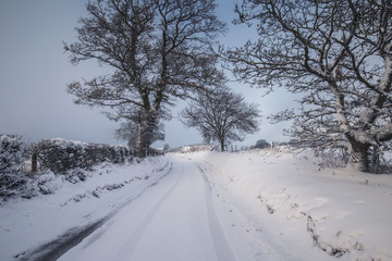 Scenic Winter Countryside Road
