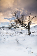 Winter in Scotland