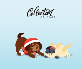 Cute dogs labrador and retriever. Flat animal cartoon character.