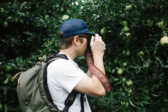 Man taking photo of apple tree