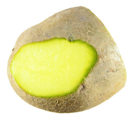 Green potato tuber isolated on white background