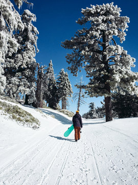 Female Snowboarder Hiking Snowy Trail with Board